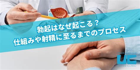 勃 た ない 理由|勃起・射精の仕組みやメカニズム .